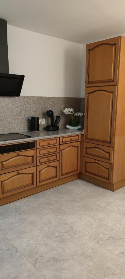 Schoene Und Optimal Gelegene Wohnung Og Weisskirchen Екстериор снимка