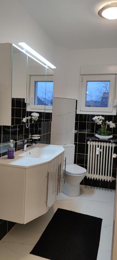 Schoene Und Optimal Gelegene Wohnung Og Weisskirchen Екстериор снимка